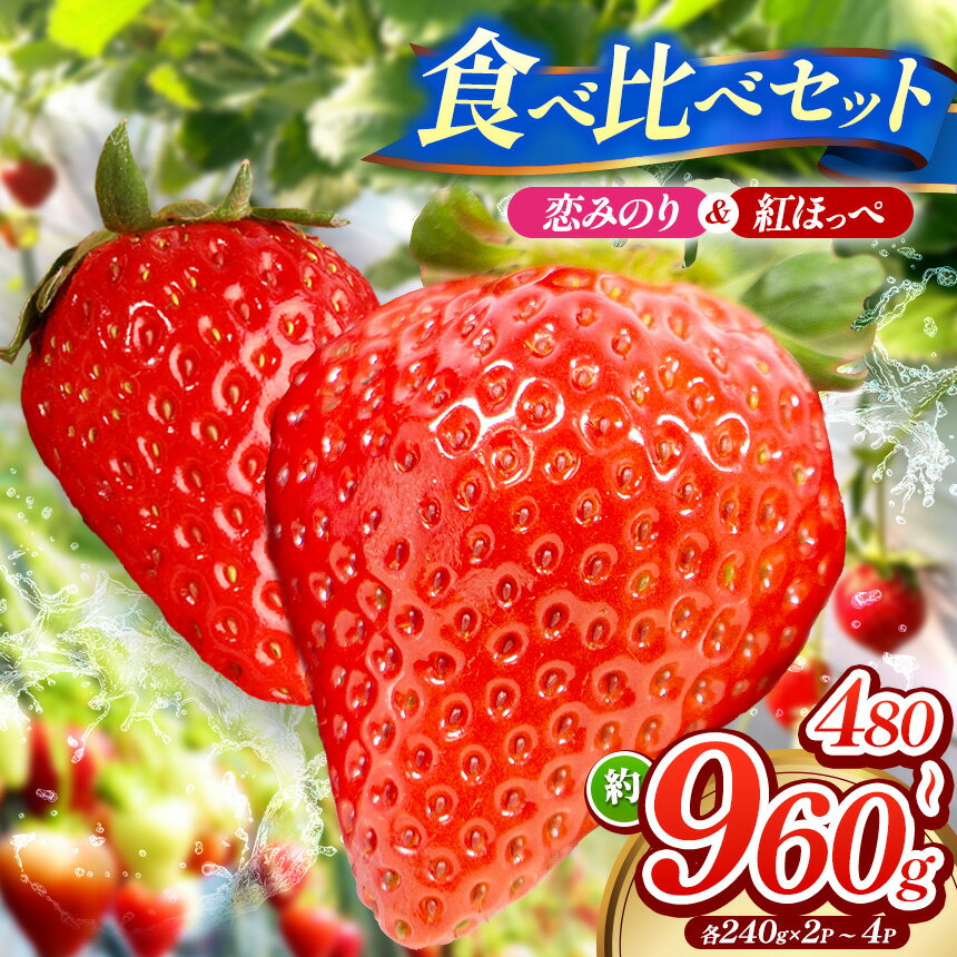 【ふるさと納税】【 産地直送 】「 紅ほっぺ 」「 恋みのり 」 食べ比べ セット 各 240g × 1パック 計 2 ~ 4パック （ 約 480g ~ 960g ） クール便 （ いちご ）先行予約 | いちご イチゴ 苺 産地直送 選べる内容量 旬の味覚 贈答用 冬限定 果物 スイーツ 山口県 平生町