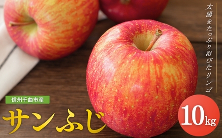 【2026年先行予約】りんご サンふじ 約10kg＜中島農園＞|りんご