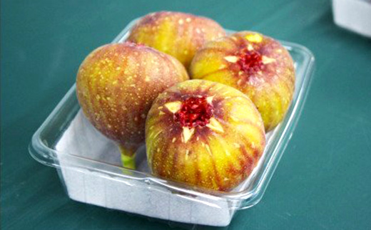 2J7【福岡県産】とよみつひめ（イチジク）　１.２ｋｇ（３００ｇ×４Ｐ）