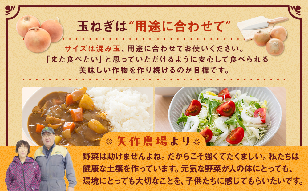 R7年産 有機農産物 玉ねぎ 20kg (有)矢作農場 | 玉ねぎ たまねぎ タマネギ 玉葱 大容量 オニオン 甘い 有機栽培 国産 産地直送 カレー ハンバーグ 煮込み 炒め物 北海道 津別町 送料