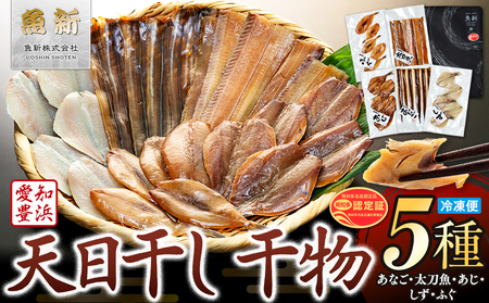 天日干し 干物 5種 味醂 汐 穴子 太刀魚 ふぐ あじ しず 詰合わせ 冷凍 海鮮 ひもの セット 味醂干し 汐干し あなご アナゴ