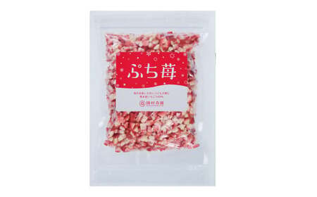 【定期便12ヶ月】完熟冷凍いちご「ぷち苺」1kg 500g×2パック 園村苺園
