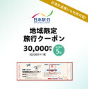 【ふるさと納税】東京都江東区 日本旅行 地域限定旅行クーポン 30,000円分 チケット 旅行代金精算 宿泊 東京観光 体験 国内旅行 家族旅行 送料無料