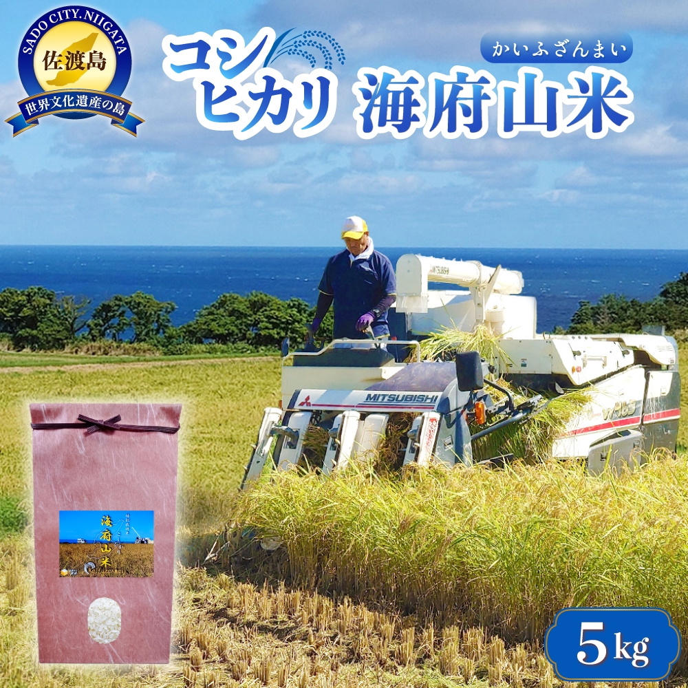 
                  【令和7年産】佐渡産コシヒカリ「海府山米」精米5kg 特別栽培米 海府地区 小野見の雪解け水 | 新潟県産コシヒカリ 新潟産コシヒカリ 佐渡産コシヒカリ 新潟県産こしひかり 佐渡産こしひかり 海府 かいふ お米 米 こしひかり 白米 精米 ブランド米 おこめ コメ 5キロ にいがた さど 新潟県 佐渡市
                