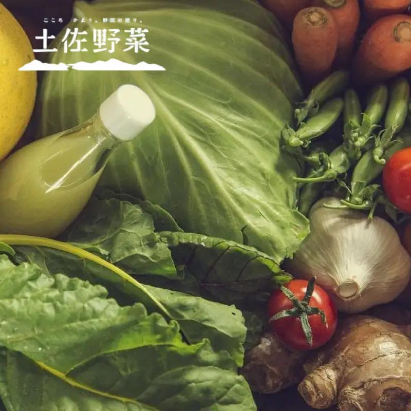 旬の土佐野菜セット 旬の詰め合わせ小セット 6回定期便 野菜