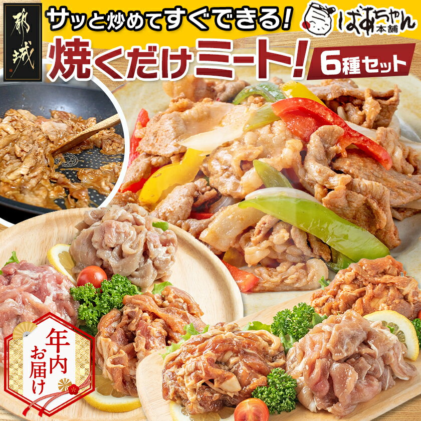 【ふるさと納税】【年内お届け】観音池ポーク焼くだけミート6種セット - 観音池ポーク ブランド豚 味噌 生姜 キムチ ゆず塩 黒ダレ 塩こうじ 各200g×2 焼くだけ 簡単調理 送料無料 年内配送 年末お届け 13-1509-HNY【宮崎県都城市は2年連続ふるさと納税日本一！】
