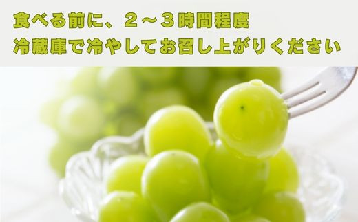 画像はイメージです。
