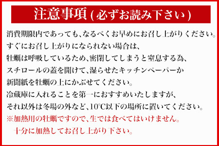 『先行予約』【12月中旬より順次発送】唐津産 殻付きいろは牡蠣 2kg(軍手・ナイフ付)期間限定 産地直送 殻付き 牡蠣 カキ 殻付き牡蠣 佐賀県 海鮮 BBQ 加熱用 お取り寄せ 贈り物 冬ギフト 