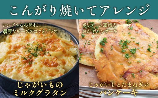 【隔月6回】よつ葉北海道十勝　3種のチーズ 2種セット 2種類各3袋 計6袋 【 ふるさと納税 人気 おすすめ ランキング よつ葉 乳製品 贈答 プレゼント 贈り物 ギフト ごほうび セット 北海道産