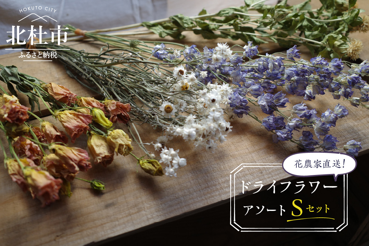 
            花農家直送！ドライフラワー アソートSセット  35本 3～5種 花 花束 農家直送 期間限定 装飾 飾り インテリア アレンジメント ギフト 贈り物
          