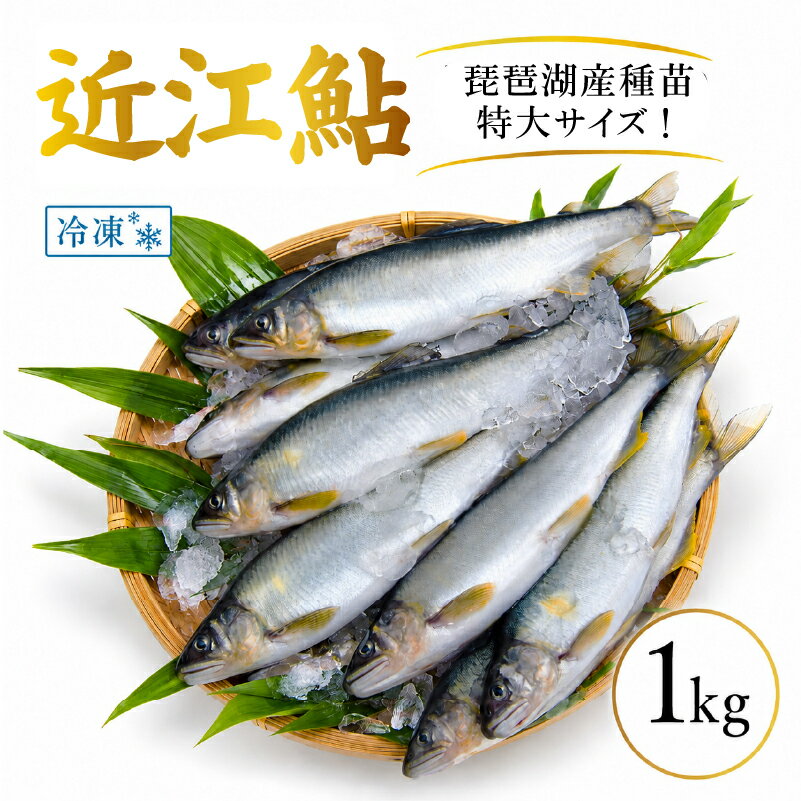 【ふるさと納税】 滋賀県産 鮎 7～11尾入り 冷凍 大～特大サイズ 1kg あゆ アユ 生鮎 生あゆ 魚 魚介 琵琶湖 湖魚 滋賀 愛荘