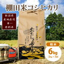 【ふるさと納税】極少量米:数量限定令和6年産/新潟県上越市大島区産棚田米コシヒカリ 6kg(2kg×3)精米　お届け：ご注文後、2～3週間を目途に順次発送いたします。