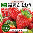 【ふるさと納税】【全2回定期便】【先行予約・2024年3月初旬より順次発送】【 期間限定 】 あまおう いちご 1,620g ( 約 270g × 6パック ) 糸島市 / 株式会社HSP-テクノ [AZL006] グランデ等級 福岡県産 30000円 3万円