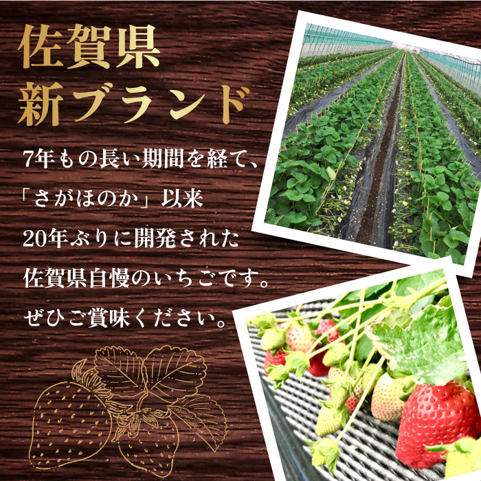 【1月中旬〜2月中旬発送】やさしい味わい！いちごさん 平パック×4P 約1kg いちご イチゴ 佐賀県産 佐賀県 佐賀 パック 吉野ヶ里町/リエンサーク [FCC003]