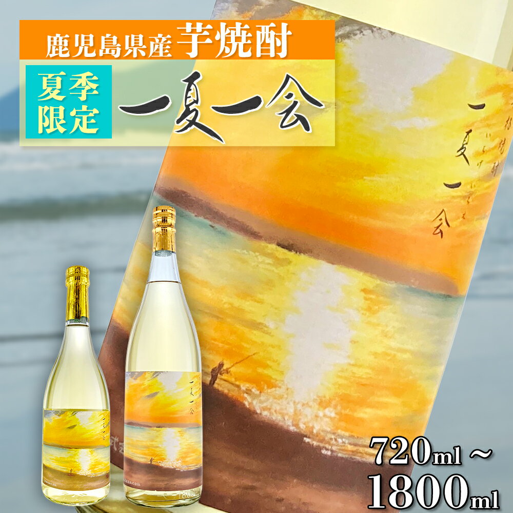 【ふるさと納税】 天星酒造「 一夏一会 」 いちげいちえ 2025ver | 芋焼酎 いも焼酎 焼酎 ロック 芋 イモ 限定 夏限定 酒 お酒 さけ おさけ 美味しい 取り寄せ 九州 お土産 特産 鹿児島県大崎町