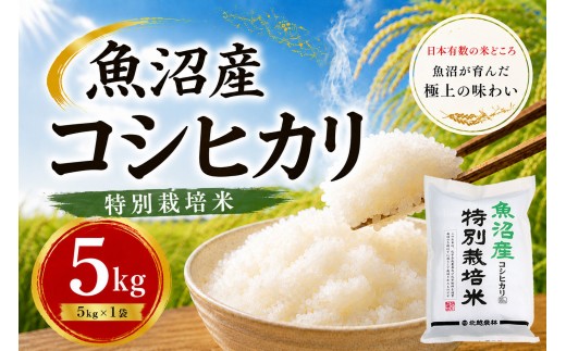 
                  【令和7年産】新潟県魚沼産コシヒカリ 特別栽培米 5kg｜ふっくら艶やか、甘み際立つ味わい
                