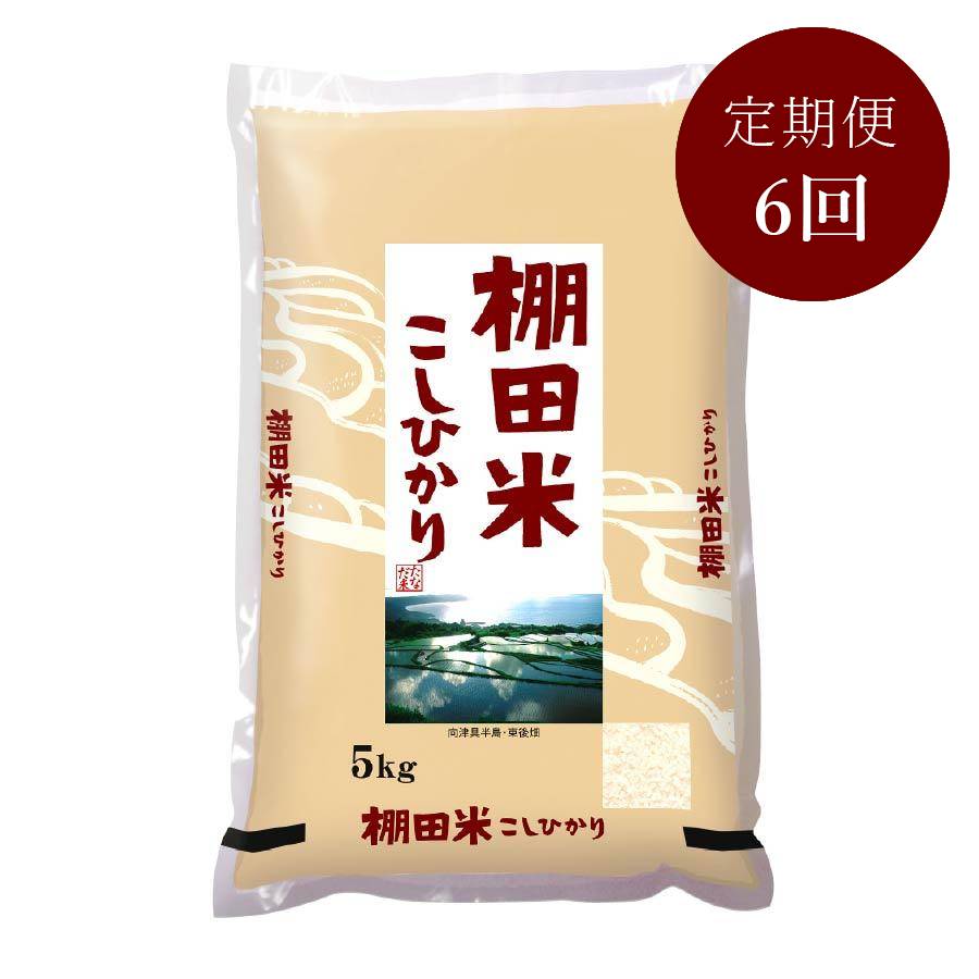 ＜瑞穂糧穀＞～日本の棚田百選～棚田米「こしひかり」5kg【6ヵ月定期便】