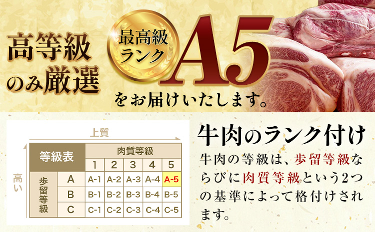 牛肉 黒毛和牛 切り落とし 小分け 500g A4 A5 田中畜産 《30日以内に出荷予定(土日祝除く)》 熊本県 苓北町 ミシュラン ビブグルマン 国産 肉 黒毛 和牛 赤身 カレー 肉じゃが 牛丼