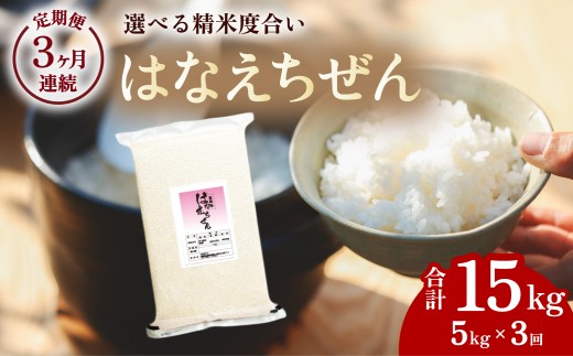 【先行予約】はなえちぜん 白米 5kg×3回 3ヶ月連続 定期便 15kg 真空パック ハナエチゼン 米 簡易梱包 エコ梱包【８月下旬以降順次お届け】