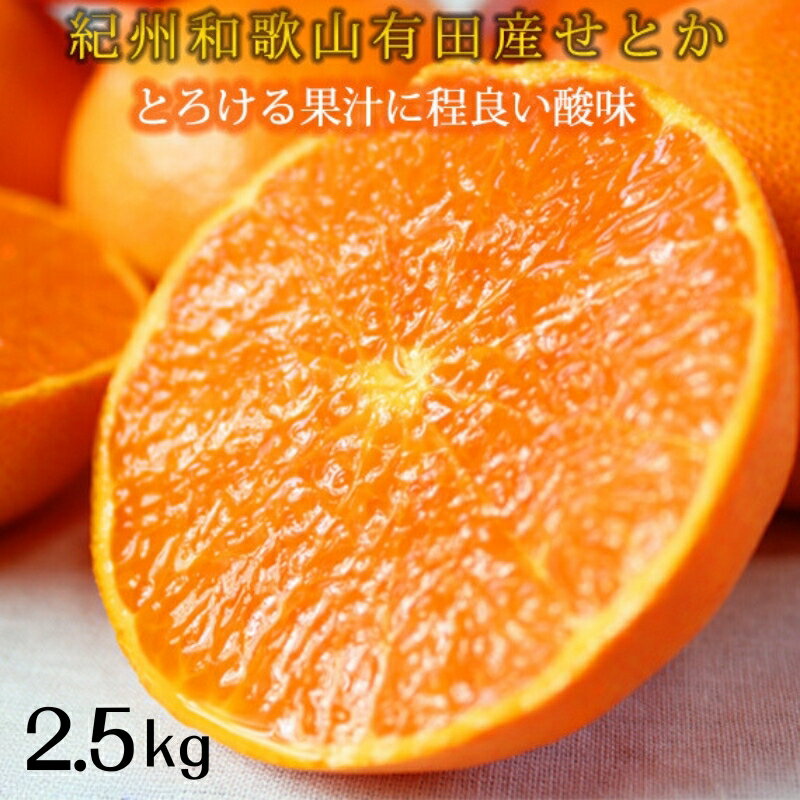 【ふるさと納税】とろける食感 ジューシー柑橘 せとか 2.5kg / みかん 甘い 高級 和歌山 柑橘 ※2026年2月上旬頃～下旬頃発送 ※離島配送不可 //dekopon