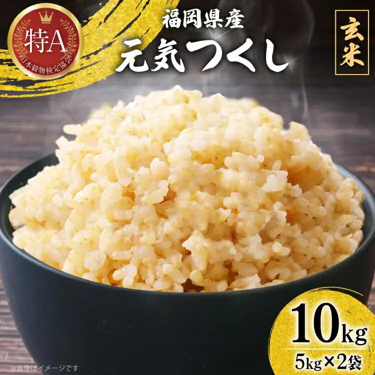 玄米 令和7年産 元気つくし 5kg 2袋