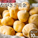 【ふるさと納税】【期間限定発送】 じゃがいも ながさき黄金 10kg ( 秋じゃがいも ) [南串ながさき黄金生産組合 長崎県 雲仙市 item1353] ジャガイモ 秋ジャガイモ 野菜 10キロ 期間限定