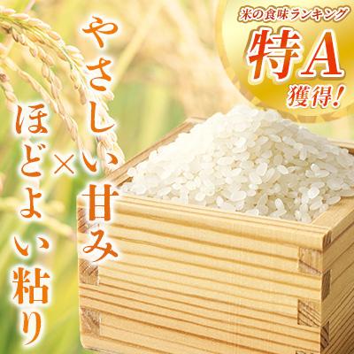ふるさと納税 南九州市 お米 鹿児島県産なつほのか5kg |  | 01