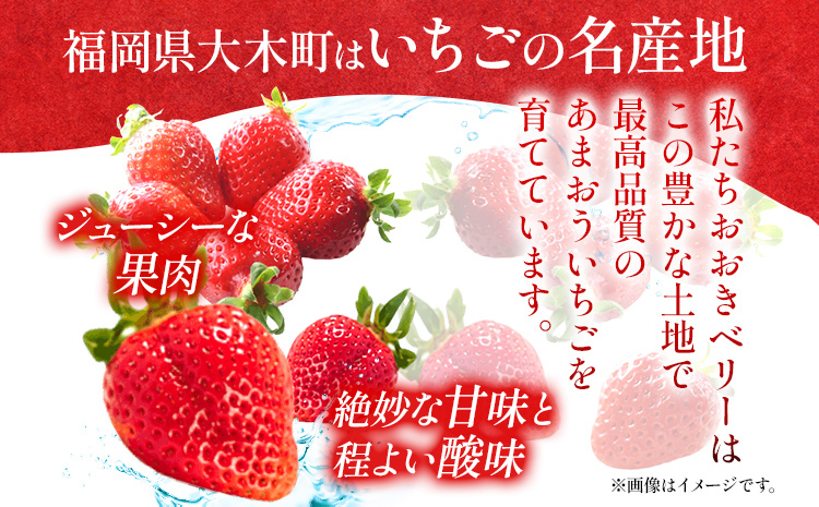 期間限定 いちご あまおう 苺 イチゴ 540g あまおう（大玉）、2パック（270g/パック）【2026年1月～3月順次発送】 フルーツ 果物 くだもの 大玉 ※北海道・沖縄・離島は配送不可 大木町産 おおきベリー CT003