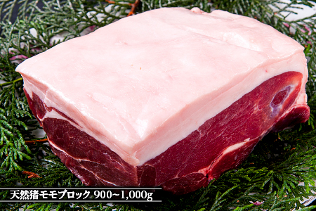 江の川shishi ブロックセット 計2.7kg～3kg 【AI-3】｜送料無料 国産 ジビエ 天然ジビエ お肉 肉 いのしし肉 イノシシ肉 猪肉 天然猪 モモ バラ ロース ブロック肉 ブロック ブ