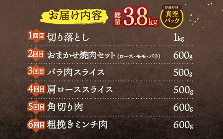 【6回定期便】天然イノシシ肉 バラエティ総量3.8kg / ジビエ 猪肉 いのしし肉 ジビエ肉 肉じゃが用肉 イノシシ いのしし焼肉 長崎ジビエ 猪 ぼたん鍋 鍋肉 猪鍋 ジビエ鍋 ジビエ焼肉 ジビエ