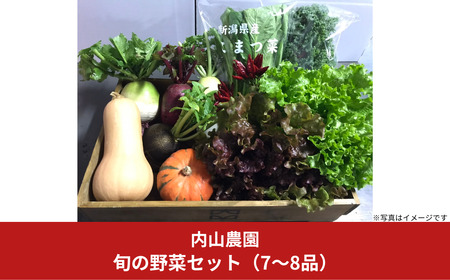 旬の野菜セット(7～8品) 季節の野菜 詰合せ [内山農園] 【011S166】