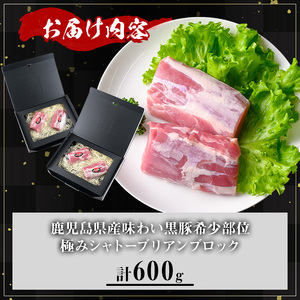 かごしま味わい 黒豚 希少部位 極み シャトーブリアン (600g)【KNOT】 A620