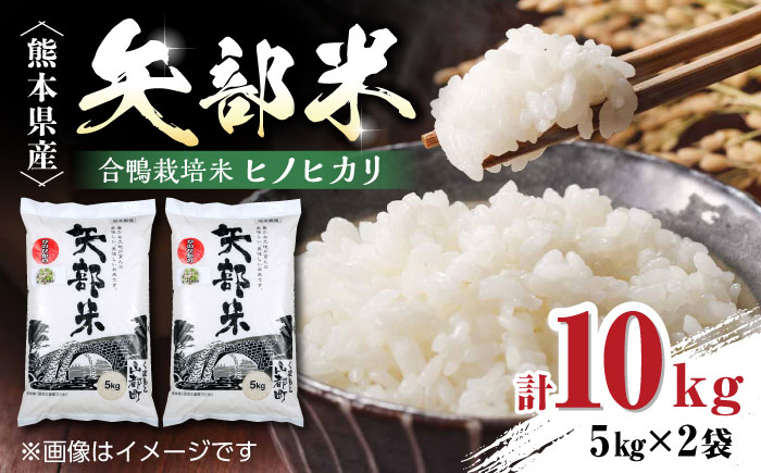 令和6年産  矢部米 合鴨栽培米 10kg (5kg×2袋) お米 合鴨農法 合鴨米 熊本産 ヒノヒカリ ひのひかり【一般社団法人 山都町観光協会】[YAB035]