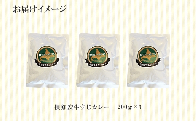 倶知安 牛すじカレー 北海道 計3個 中辛 レトルト食品 加工品 牛すじ 牛肉 野菜 じゃがいも お取り寄せ グルメ スパイシー スパイス おかず【お肉・牛肉】