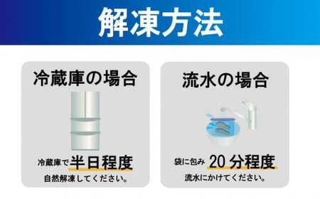 訳あり 厚切り 塩銀鮭 切り身 選べる容量 約1.8～3.6kg 1切 120g 定塩 冷凍 人気 切身 厚切り鮭 肉 厚 さけ しゃけ 鮭 サーモン 塩鮭 銀鮭 魚 海鮮 魚介類 魚貝 おかず おつ