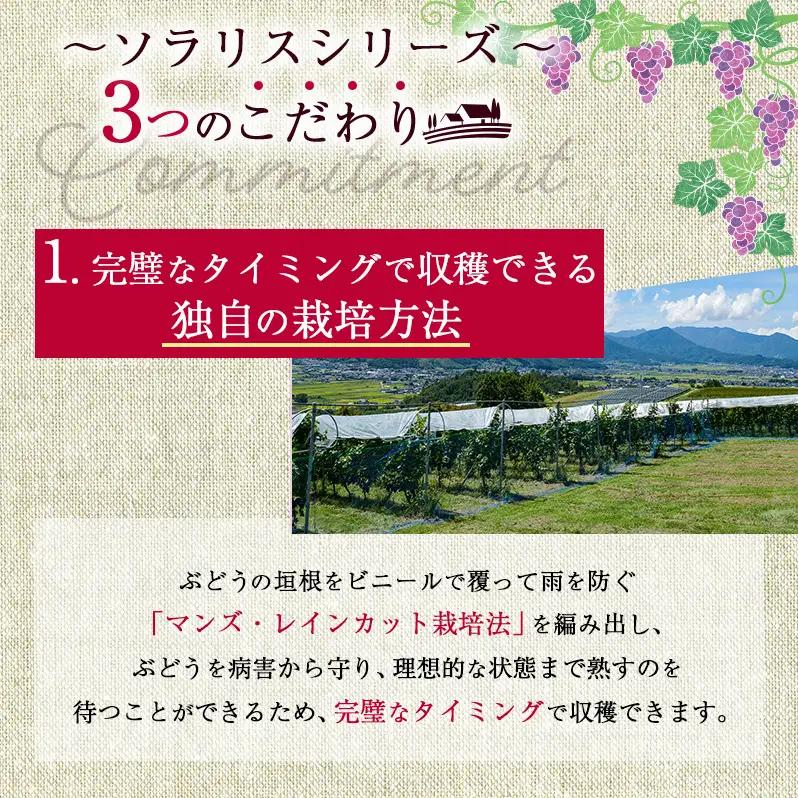 信州ワイン 千曲川 カベルネ・ソーヴィニヨン 750ml×6本 信州ワイン