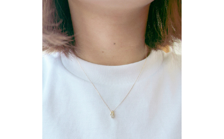 K18YGダイヤモンドネックレス(NYG-8) SWAK010