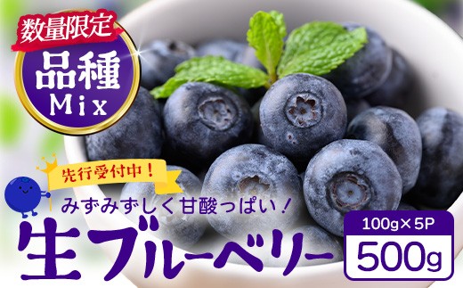 
                  【2027年先行予約】南大隅産 (生)ブルーベリー  品種ミックス詰め合わせ  ≪100g×5P≫ BO-1｜鹿児島県 南大隅町
                