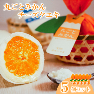 丸ごとみかんチーズケエキ 5個セット 菓子菓子菓子菓子菓子菓子チーズケーキチーズケーキチーズケーキチーズケーキチーズケーキチーズケーキ【ME002_x】