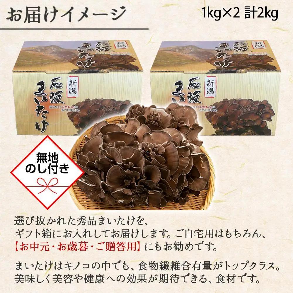 【無地のし】 新潟県 南魚沼産 厳選 国産 石坂 高級 舞茸 まいたけ 産地直送 1kg ×2箱 計2kg 贈り物 ギフト お中元 お歳暮 石坂きのこ