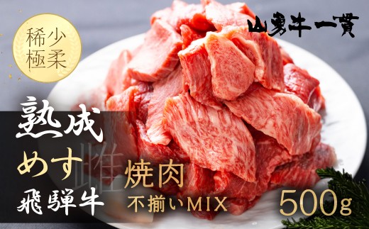 「山勇牛」焼肉用 切落し 切り落とし 500g 牛肉 和牛 飛騨牛 肉 稀少部位 焼き肉 冷凍 飛騨市 高評価 切り落とし牛肉 切り落とし肉