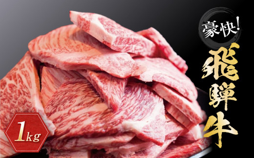 【12月発送】飛騨牛 訳あり焼肉1kg 切り落とし | 牛肉 訳あり 部位 大きさ不揃い 日付指定不可 冷凍 焼き肉 BBQ バーベキュー 切落し 和牛 ブランド牛 株式会社丸明 LR008VC12