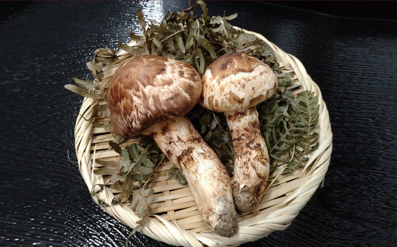 岩手県産松茸