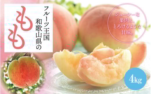 【先行予約】【夏の美味】【和歌山ブランド】フルーツ王国　和歌山の桃　約4kg　※2025年6月中旬～7月下旬頃順次発送予定（お届け日指定不可）桃 もも 白桃 白鳳清水 白桃 なつっこ 川中島【ard049C】