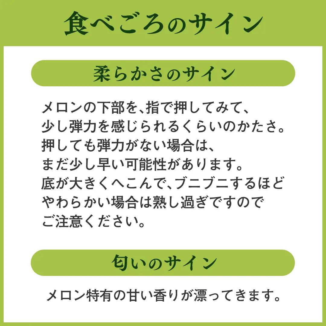 【先行予約】 メロン プリンスメロン 茨城県産 5kg 7~8玉 農家直送 果物 初夏