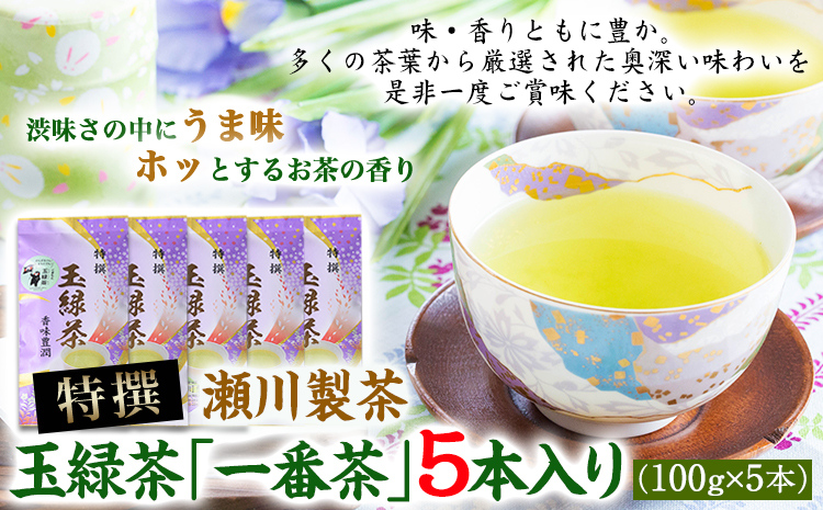 特撰 玉緑茶 たまりょくちゃ 一番茶 100g×5本 熊本県 大津町産 株式会社 瀬川製茶《60日以内に出荷予定(土日祝除く)》