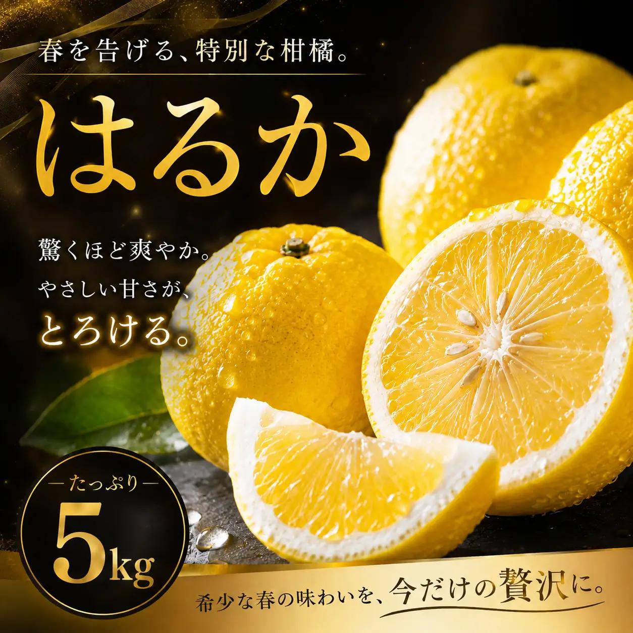 はるか 家庭用 5kg 【2027年2月上旬頃から順次発送】 | みかん ミカン mikan 蜜柑 訳ありフルーツ 柑橘 果物 おすすめ お勧め お取り寄せ ギフト 愛媛県 松山市 【MKN027】