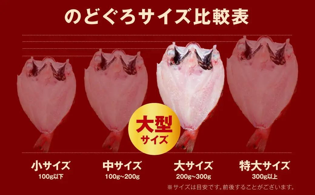 のどぐろ一夜干し個包装1枚「希少サイズ・大型200g超重量」産地直送 干物 魚 一夜干し 人気 大きい 天然 ボリューム ノドグロ 【005_2086】
