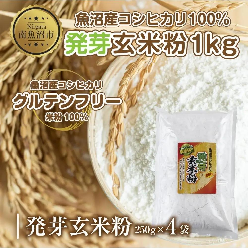 魚沼産 コシヒカリ 発芽玄米粉 250g×4袋 計1kg  玄米  グルテンフリー 小麦不使用 アレルギー GABA お取り寄せ 菓子 パン ケーキ ギフト 送料無料 コパフーズ 新潟県 南魚沼市｜こしひかり