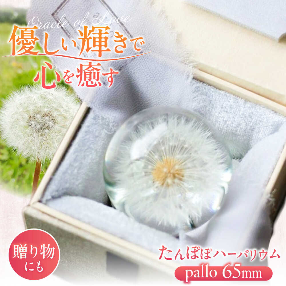 【ふるさと納税】【pallo 65mm】たんぽぽハーバリウム / インテリア 雑貨 フラワー ナチュラル / 亀山市 / auRinko [AMBL001]